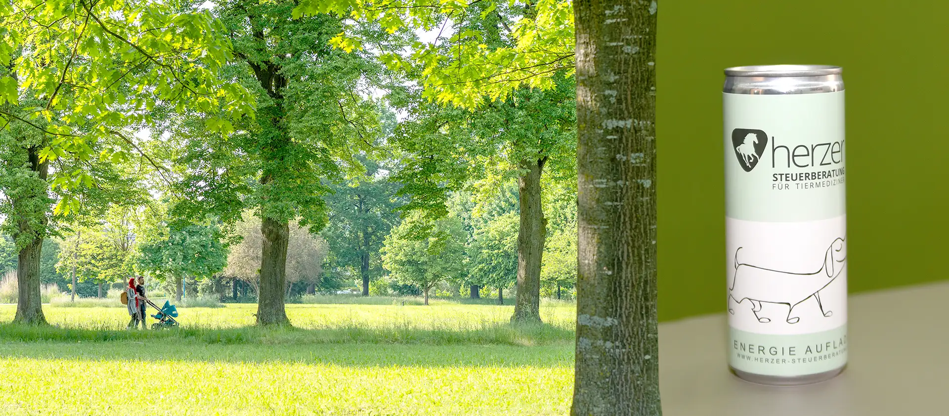 Pausen im Park